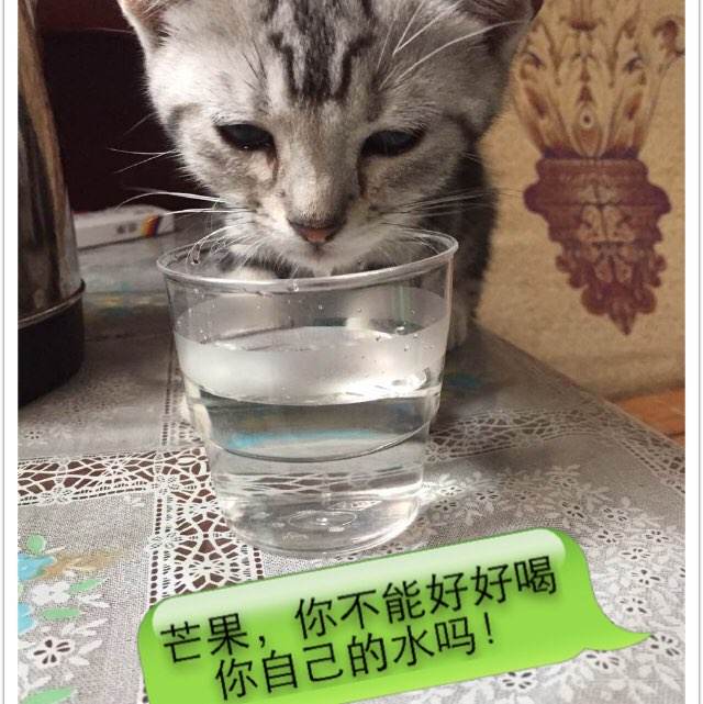 怎么购买厄瓜多尔